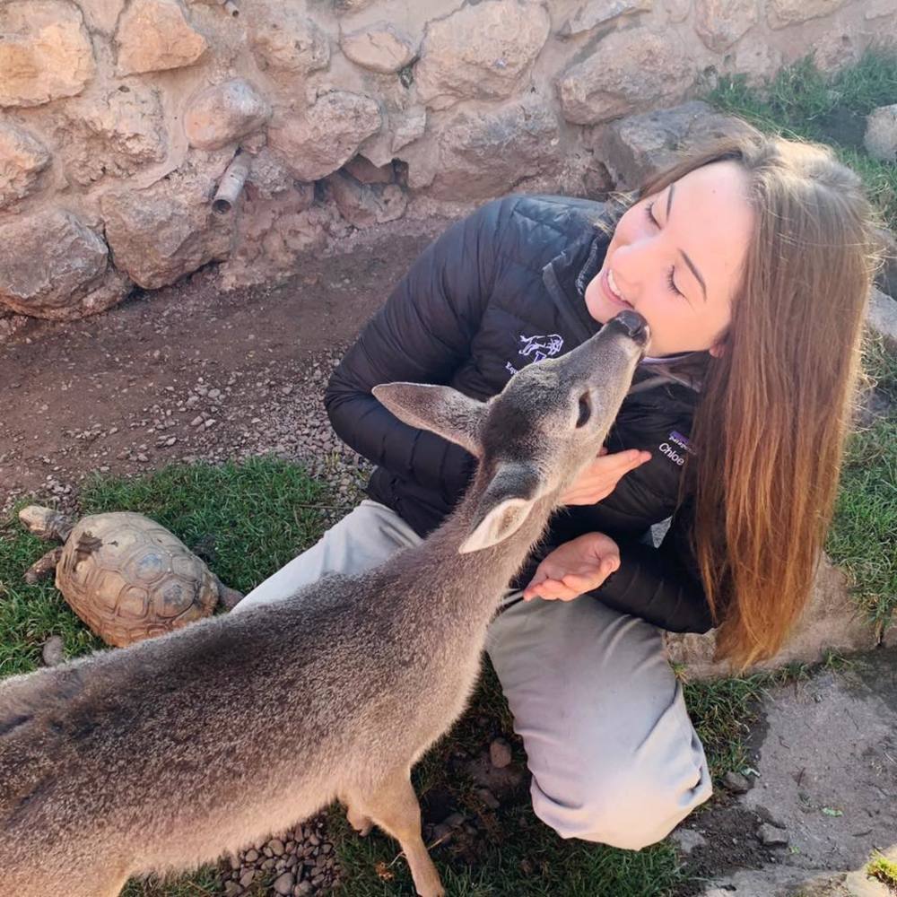Meet your Posher, Chloe